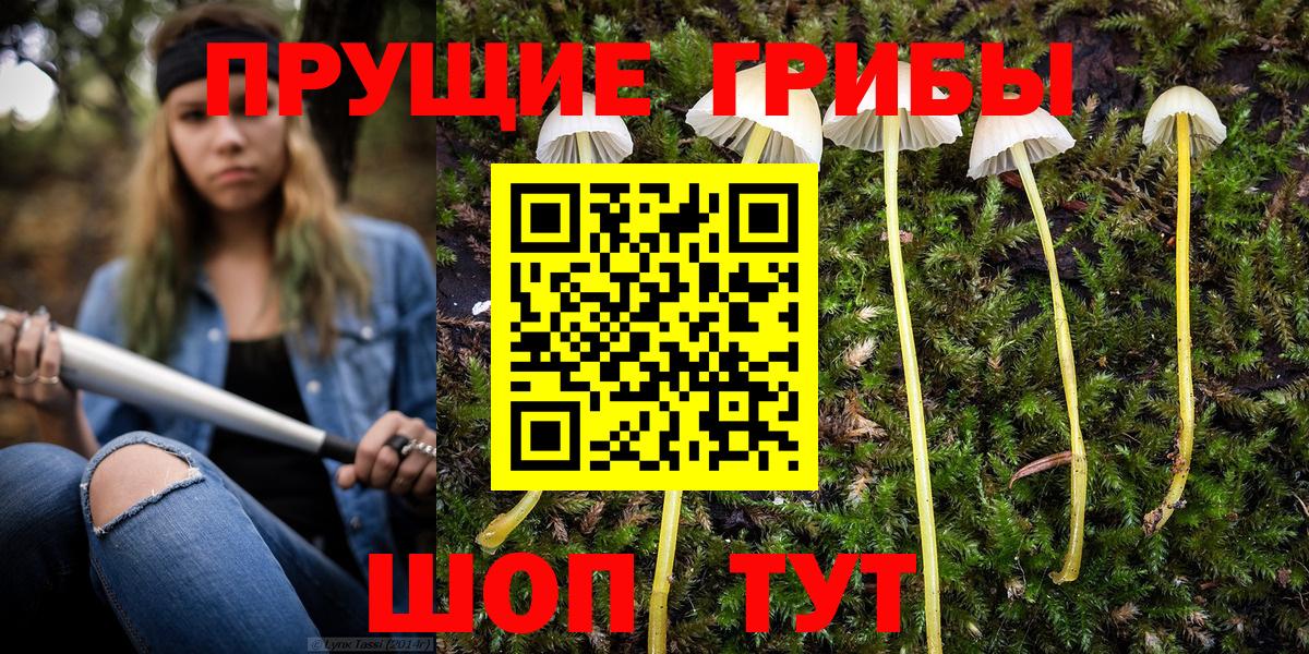 Галлюциногенные грибы мухоморы  Вход с VPN  Балашов 